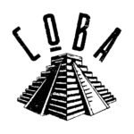 COBA Dallas: An After-Hours House and Techno Stop on Canton Street