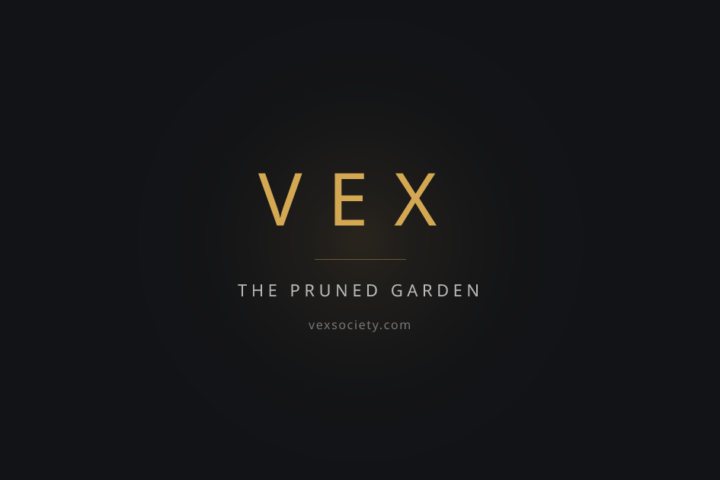 VEX Society (Seattle listing)